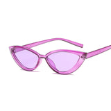 New Vintage Black Cat Eye Sunglasses Women